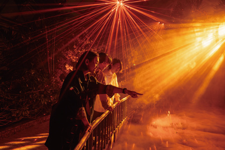 【~2026年3月16日受付】 京都府立植物園 LIGHT CYCLES KYOTO 前売券 大人1枚 チケット