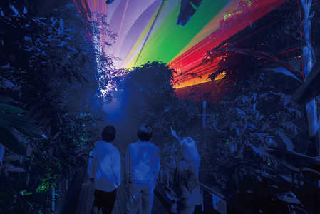 【~2026年3月16日受付】 京都府立植物園 LIGHT CYCLES KYOTO 前売券 大人1枚 チケット