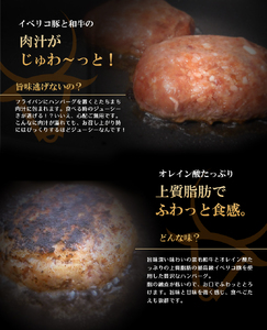 【黒毛和牛とイベリコ豚】ハンバーグ 8個 計1.2kg 【 ハンバーグ 】