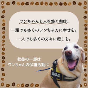 【コーヒー豆 定期便 6回】ann's cafe 自家焙煎珈琲 300g×6ヶ月 コーヒー豆