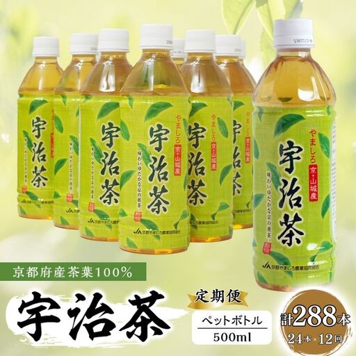 【12回定期便】宇治茶ペットボトル 500ml×24本 お茶ペットボトル