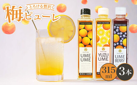 【梅ピューレ】3種詰め合わせ 3本セット フルーツシロップ