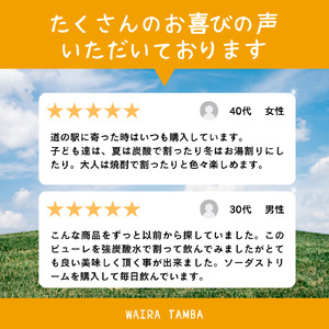 【梅ピューレ】3種詰め合わせ 3本セット フルーツシロップ