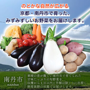 【6回定期便】旬のお野菜詰め合わせ 定期便 野菜