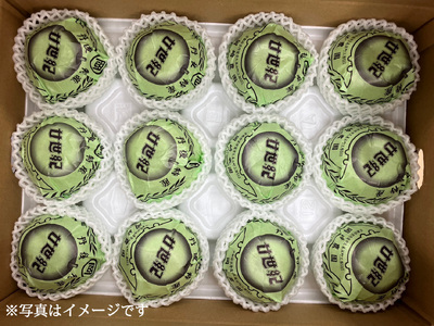 【先行予約 数量限定】梨 2026年度産 二十世紀梨 約5kg (10～16玉入り)  梨