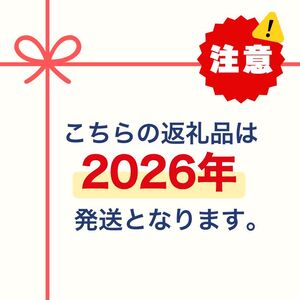 【先行予約 数量限定】梨 2026年度産 二十世紀梨 約5kg (10～16玉入り)  梨