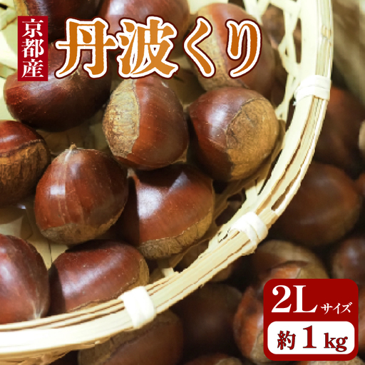 【先行予約 数量限定】2026年度産 丹波栗 2Lサイズ 1kg 和栗