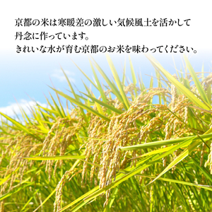 新米 定期便 京都府産米 丹後コシヒカリ 5kg 6回定期便 特Aブランド米