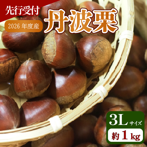 【先行予約 数量限定】2026年度産 丹波栗 3Lサイズ 1kg 和栗