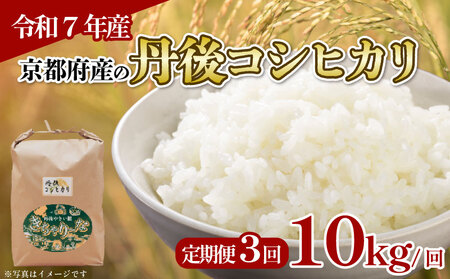 【令和7年産】定期便 3回 丹後コシヒカリ 10kg 精米 白米 コシヒカリ