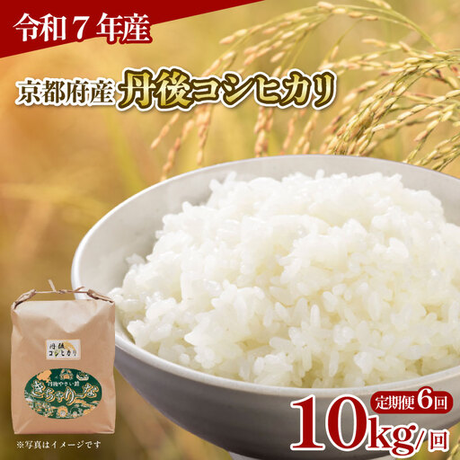 【令和7年産】定期便 6回 丹後コシヒカリ 10kg 精米 白米 コシヒカリ