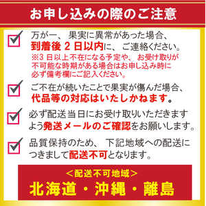 完熟いちじく 約1.7kg(7月下旬発送) いちじく 京都府産
