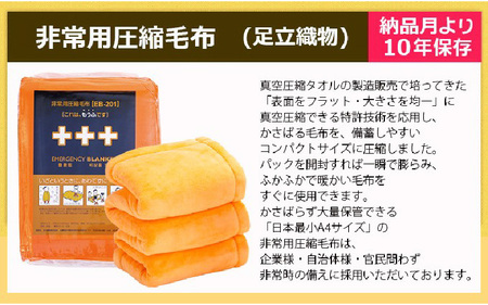 2人用  90点防災グッズ 豊岡産 オレンジ&グリーン　【 防災グッズ 防災用品  災害時 非常時 備え 対策 お水 防災セット トイレ 備蓄 非常用 簡易 非常食 飲料水 簡易トイレ 5年保存 長期保存 災害 非常用 】