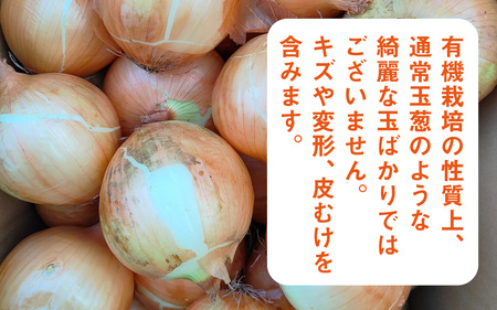  【先行予約】淡路島産有機栽培玉葱5kg JAS認定オーガニックたまねぎ ※2026年5月中旬頃より順次発送予定 / たまねぎ