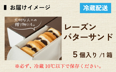 【最速発送】レーズンバターサンドボックス（5個入） / バターサンド