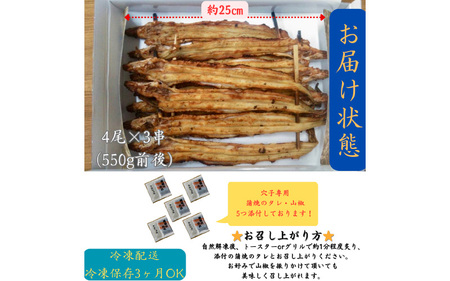 焼き方・タレにこだわった焼きあなご4尾×3串（550g前後）【播州 焼き穴子 焼きアナゴ 海鮮 お取り寄せ ギフト 人気】