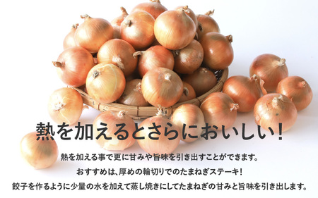 淡路島産 成井さんちの完熟たまねぎ 10kg　【 淡路島 玉ねぎ 玉葱 玉ネギ タマネギ 完熟 人気 おすすめ 】