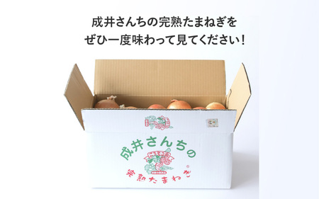 淡路島産 成井さんちの完熟たまねぎ 10kg　【 淡路島 玉ねぎ 玉葱 玉ネギ タマネギ 完熟 人気 おすすめ 】