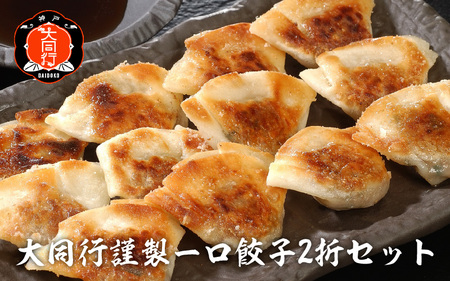 南京町 大同行謹製 一口餃子 2折セット 60個 ／ 人気 おすすめ セット ぎょうざ 餃子 中華 中華料理 冷凍 冷凍餃子 簡単調理 ギョウザ こだわり 肉汁 ジューシー 国産 野菜 肉 一口サイズ おつまみ 鹿児島黒豚 取り寄せ グルメ ポン酢 タレ付