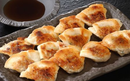 南京町 大同行謹製 一口餃子 2折セット 60個 ／ 人気 おすすめ セット ぎょうざ 餃子 中華 中華料理 冷凍 冷凍餃子 簡単調理 ギョウザ こだわり 肉汁 ジューシー 国産 野菜 肉 一口サイズ おつまみ 鹿児島黒豚 取り寄せ グルメ ポン酢 タレ付