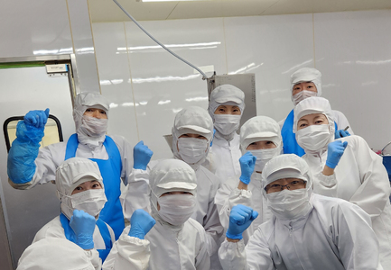 南京町 大同行謹製 一口餃子 2折セット 60個 ／ 人気 おすすめ セット ぎょうざ 餃子 中華 中華料理 冷凍 冷凍餃子 簡単調理 ギョウザ こだわり 肉汁 ジューシー 国産 野菜 肉 一口サイズ おつまみ 鹿児島黒豚 取り寄せ グルメ ポン酢 タレ付