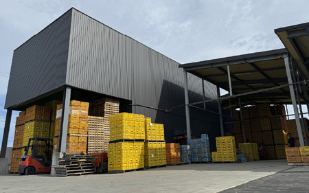 訳あり たまねぎ 5kg ドレッシング セット 淡路島 ／ 不揃い サイズ 混合 ミックス S M L 2L 玉ねぎ タマネギ オニオン スライス サラダ ハンバーグ 肉じゃが 焼肉 常備菜 BBQ スープ 味噌汁 産地直送 兵庫県 淡路市  フードロス SDGs 		 												