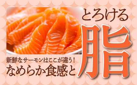 【最速発送】 アトランティックサーモン 900g ／ 小分け サーモン ジューシー 脂のり 甘い脂 とろける 深いコク 魚介 海鮮 魚 鮭 さけ サケ 刺身 魚介類 お取り寄せ お取り寄せグルメ 冷凍 兵庫県 人気 挑戦 送料無料