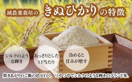 兵庫県佐用町で育てたきぬひかり 5kg 【 兵庫県産 きぬひかり 減農薬米 精米 お米 特Aランク 】