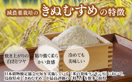 兵庫県佐用町で育てたきぬむすめ 5kg【 兵庫県産 きぬむすめ 減農薬米 精米 お米 特Aランク 】