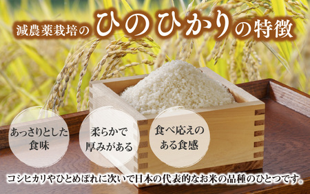 兵庫県佐用町で育てたひのひかり 5g【兵庫県産 ひのひかり 減農薬米 精米 お米 特Aランク 選べる 】