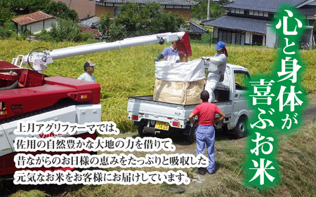 兵庫県佐用町で育てたひのひかり 5g【兵庫県産 ひのひかり 減農薬米 精米 お米 特Aランク 選べる 】