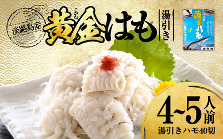 【先行予約】淡路島黄金はも湯引き 4~5人前　酢味噌・梅肉付き　※2026年5月上旬より順次発送予定 / はも