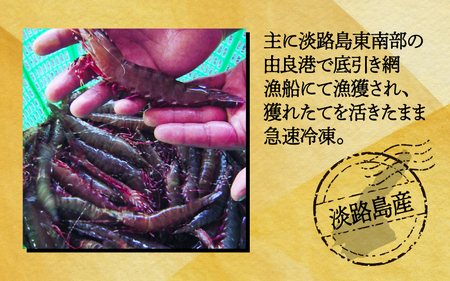 淡路島産天然アシアカ海老　2パック約600ｇ