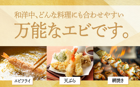 淡路島産天然アシアカ海老　2パック約600ｇ