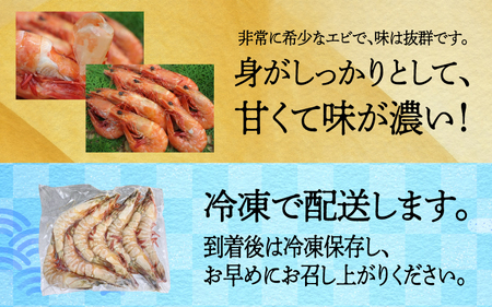 淡路島産天然アシアカ海老　2パック約600ｇ