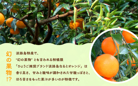 【先行予約/数量限定】 淡路島なるとオレンジ 10kg 若宮ミカン農園 ※2026年4月上旬頃より順次発送予定 みかん オレンジ フルーツ ミカン 果物 果実 青果 兵庫県 淡路島 洲本市産 農園 農家 有機 幻 まぼろし