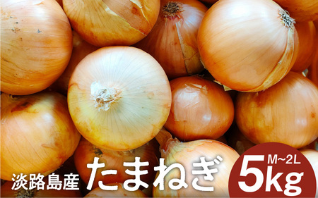 淡路島産たまねぎ 5kg入り箱【2月下旬までの期間限定商品】 / 玉葱 玉ねぎ タマネギ