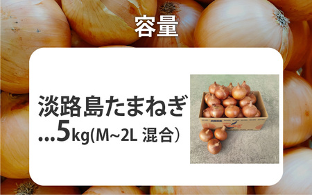 淡路島産たまねぎ 5kg入り箱【2月下旬までの期間限定商品】 / 玉葱 玉ねぎ タマネギ