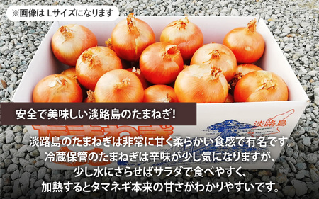 淡路島産たまねぎ 5kg入り箱【2月下旬までの期間限定商品】 / 玉葱 玉ねぎ タマネギ