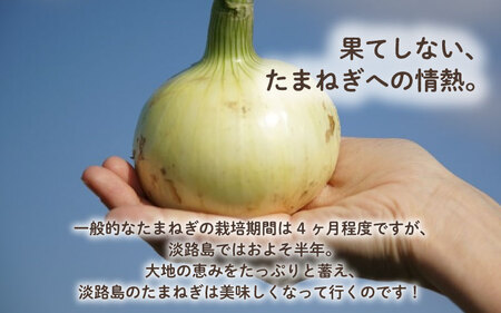 【すりおろし玉ねぎ贅沢使用】プレミアム玉ねぎドレッシング「白」　２本セット