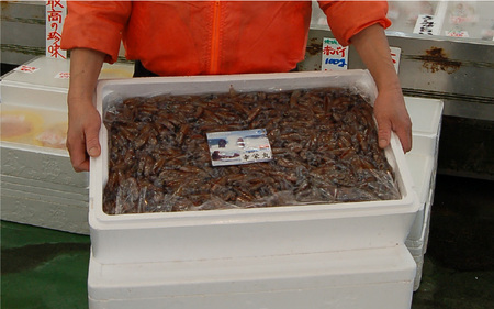 山米の自家製 ほたるいか沖漬け 4パック 無添加 小分け