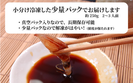【先行予約】旬凍結ホタルイカ 小分け 約250g × 4パック ※2026年4月上旬頃より順次発送予定 / ホタルイカ