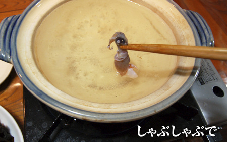 【先行予約】旬凍結ホタルイカ 小分け 約250g × 4パック ※2026年4月上旬頃より順次発送予定 / ホタルイカ