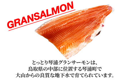 国産とっとり琴浦グランサーモン刺身用　400ｇ訳あり