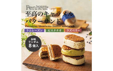 【Penheur】 【簡易包装】 プレミアム カルテット8個入