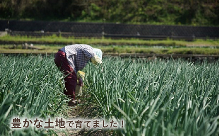 淡路島産玉ねぎを使ったプレミアム玉ねぎポン酢　2本セット