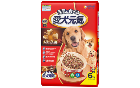 3562 愛犬元気 ビーフ・緑黄色野菜・小魚入り 6.0kg