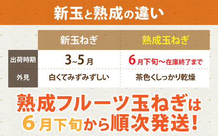 熟成フルーツ玉ねぎ4kg【サイズ色々】