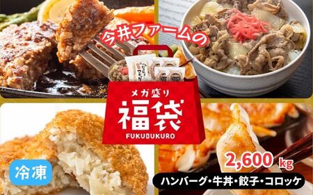今井ファームのメガ盛り冷凍福袋【ハンバーグ・牛丼・餃子・コロッケ】