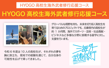 【返礼品なし】兵庫県を応援！ふるさとひょうご寄附金 10,000円